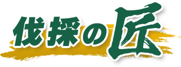 木更津市・君津市・千葉市エリアの伐採・剪定・草刈は【伐採の匠】にお任せください！